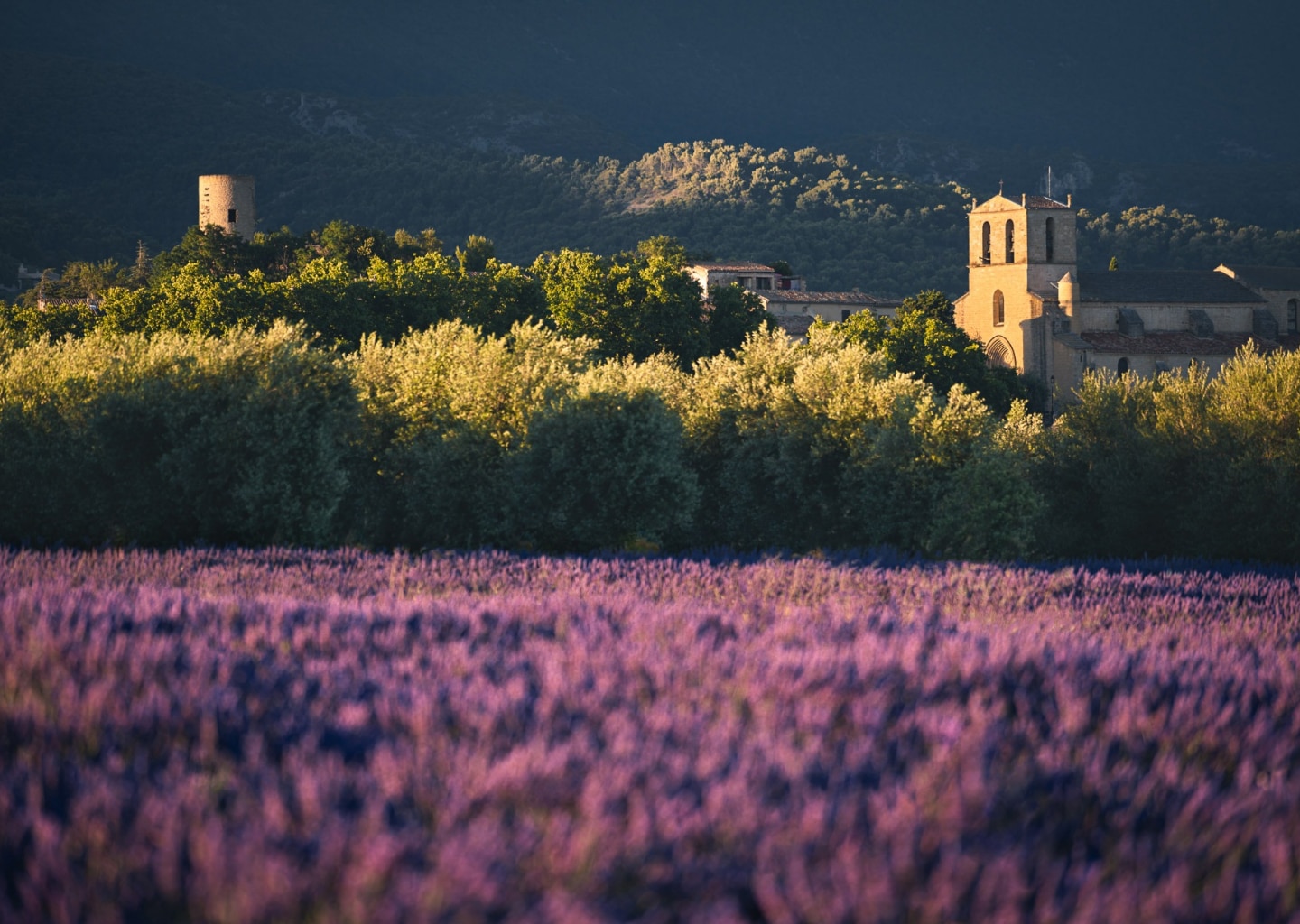 Situer le Luberon sur la carte de la France et de la Provence