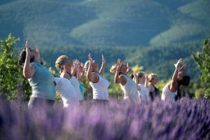 Airfit Provence - yoga dans les lavandes