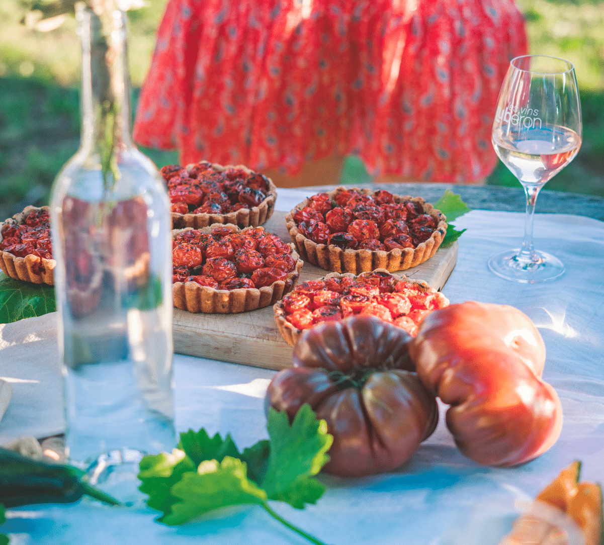 Découverte de la gastronomie et du vin du Luberon accompagné des vignerons qui font découvrir leur domaine et leurs vignes