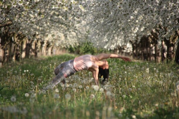 Séance de yoga dans les champs de cerisiers en fleurs