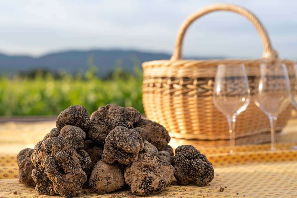 Dégustation du terroir avec du vin du Luberon et de la tapenade de truffe blanche