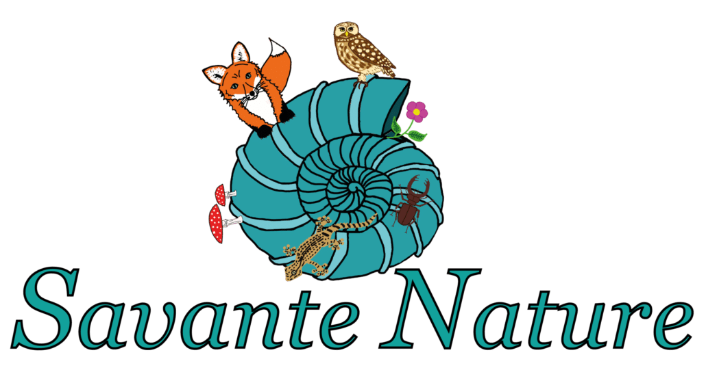 Logo de Savante Nature