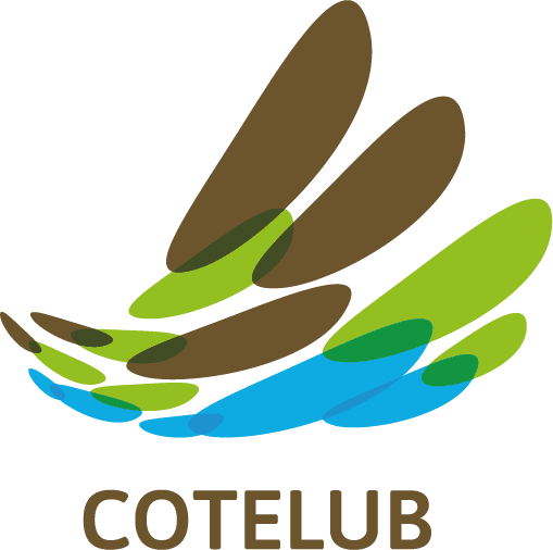 Logo COTELUB